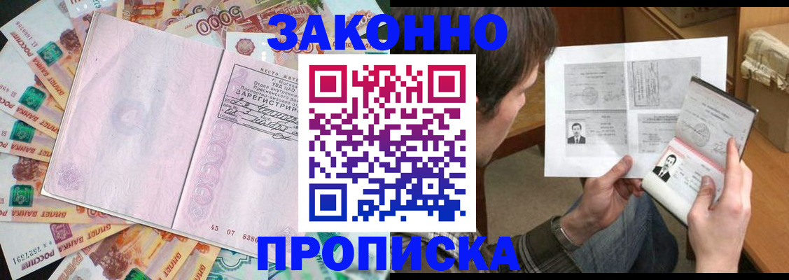 прописка для школы в Курчалом